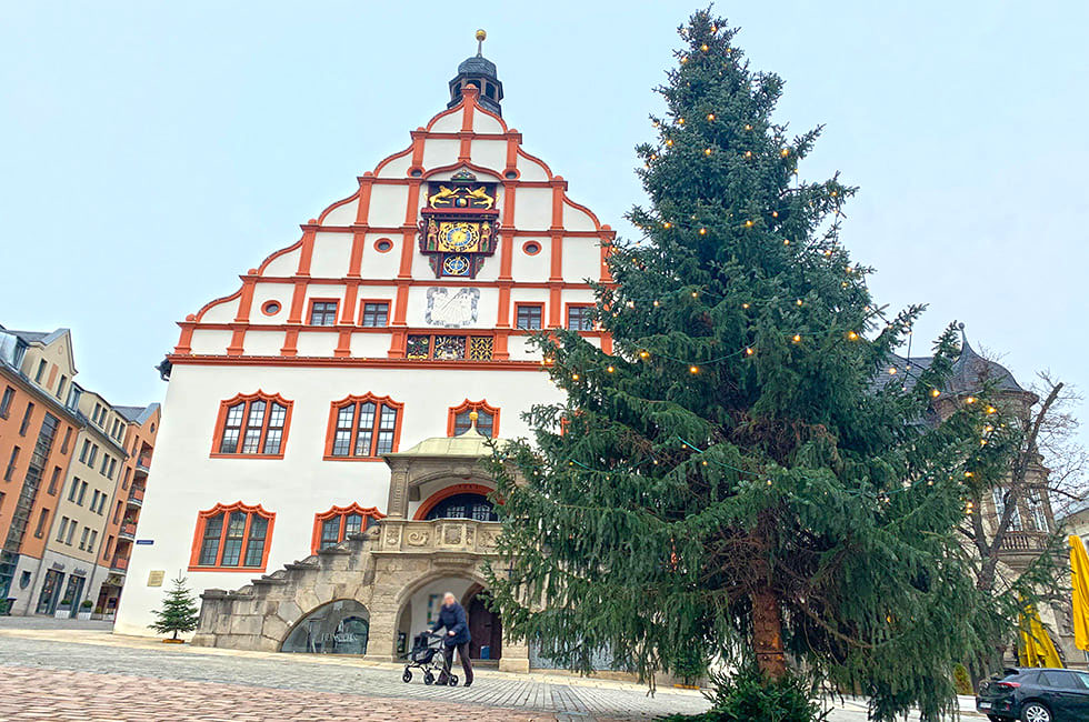 Der Weihnachtsbaum in Plauen vor dem historischem Rathaus. Foto: Sebastian Höfer